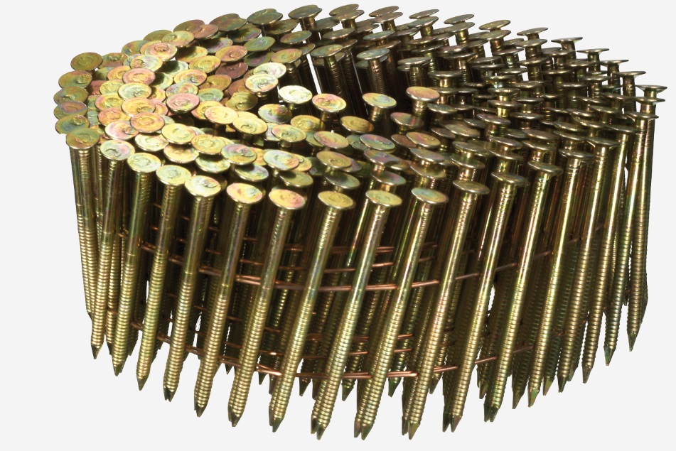 Ongle Senco BL25AABF; 2,5x65 mm; 16°; 7425 unités
