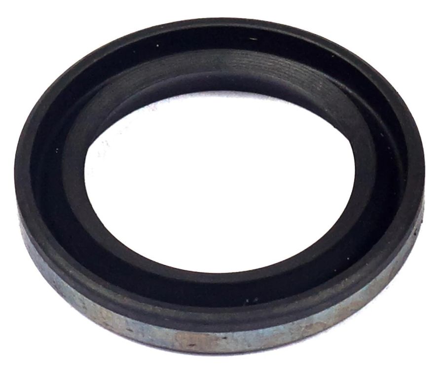 Joint d'huile Briggs&Stratton 299819S