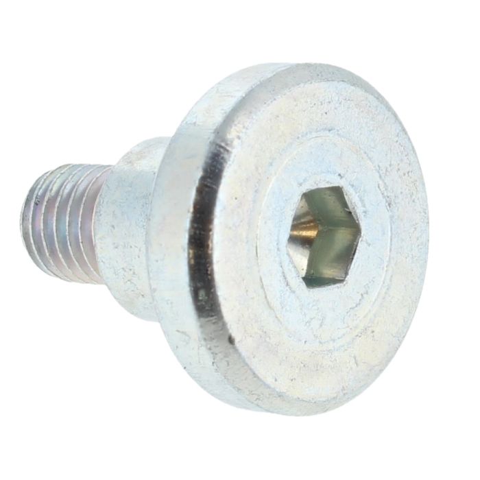Vis Bosch 160343507R