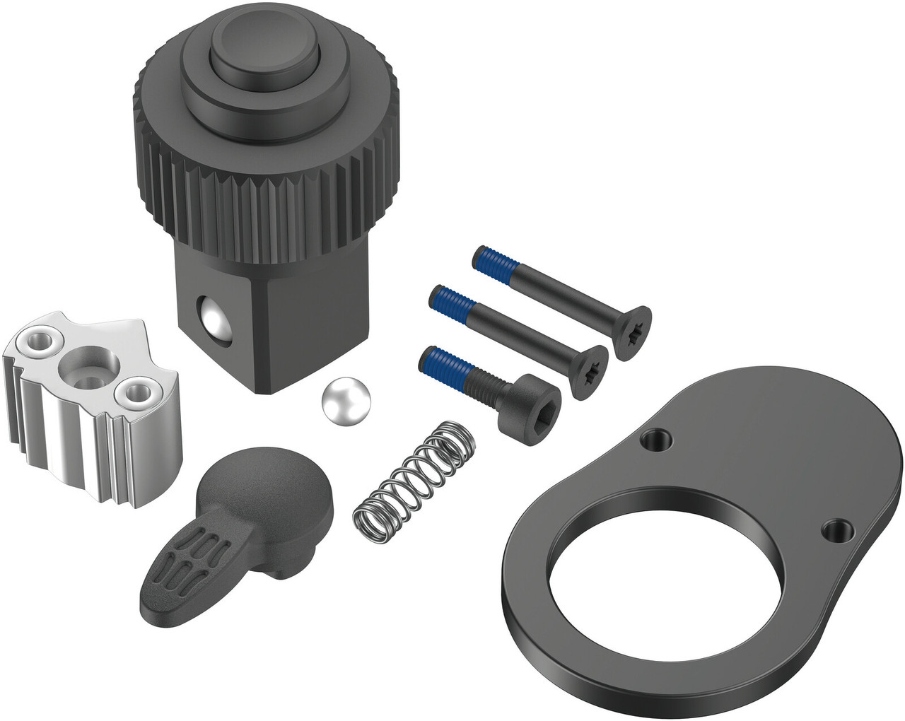 Kit de réparation pour cliquet Wera WE05547626001; Click-Torque C 1
