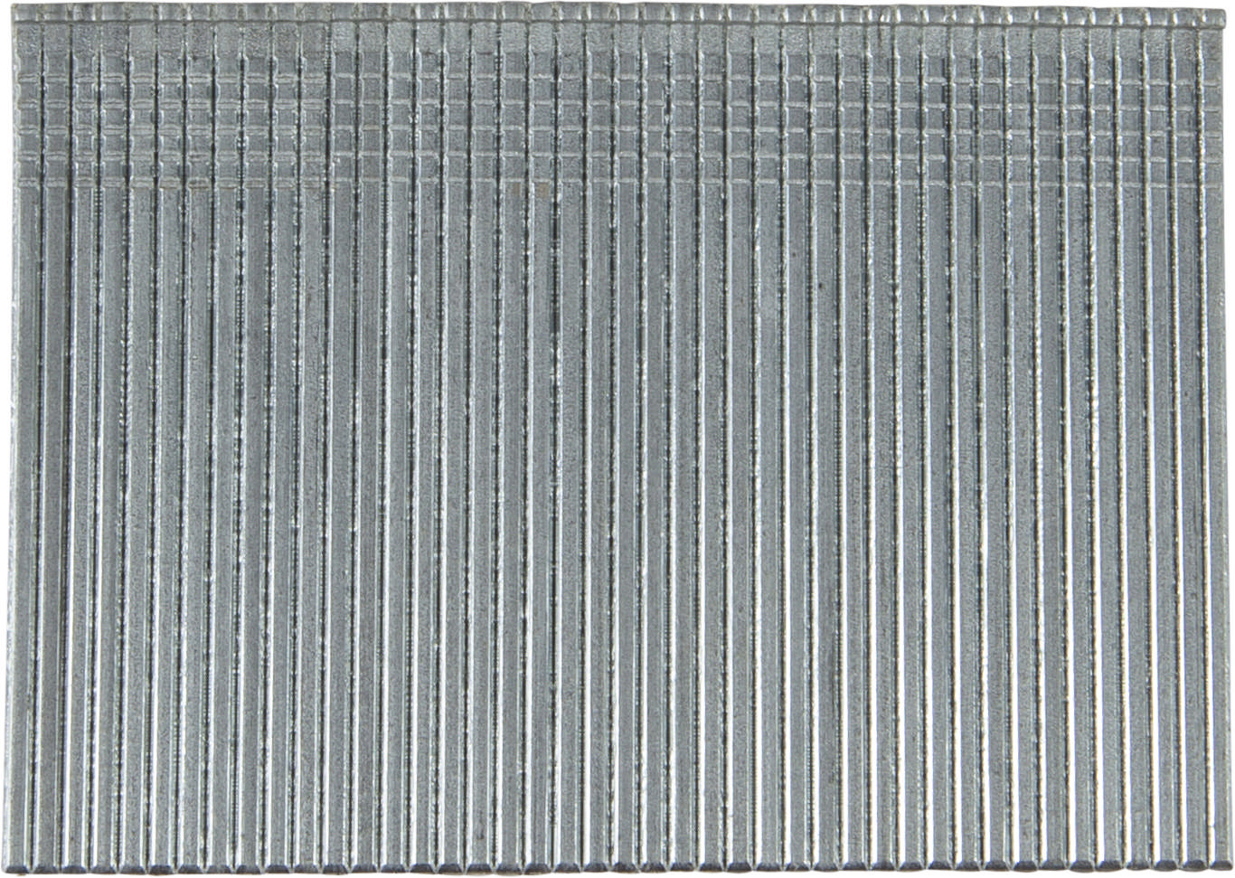 Ongle Essve F16; 1,6×50 mm; 0°; 2000 pcs .; galvanisé brillant