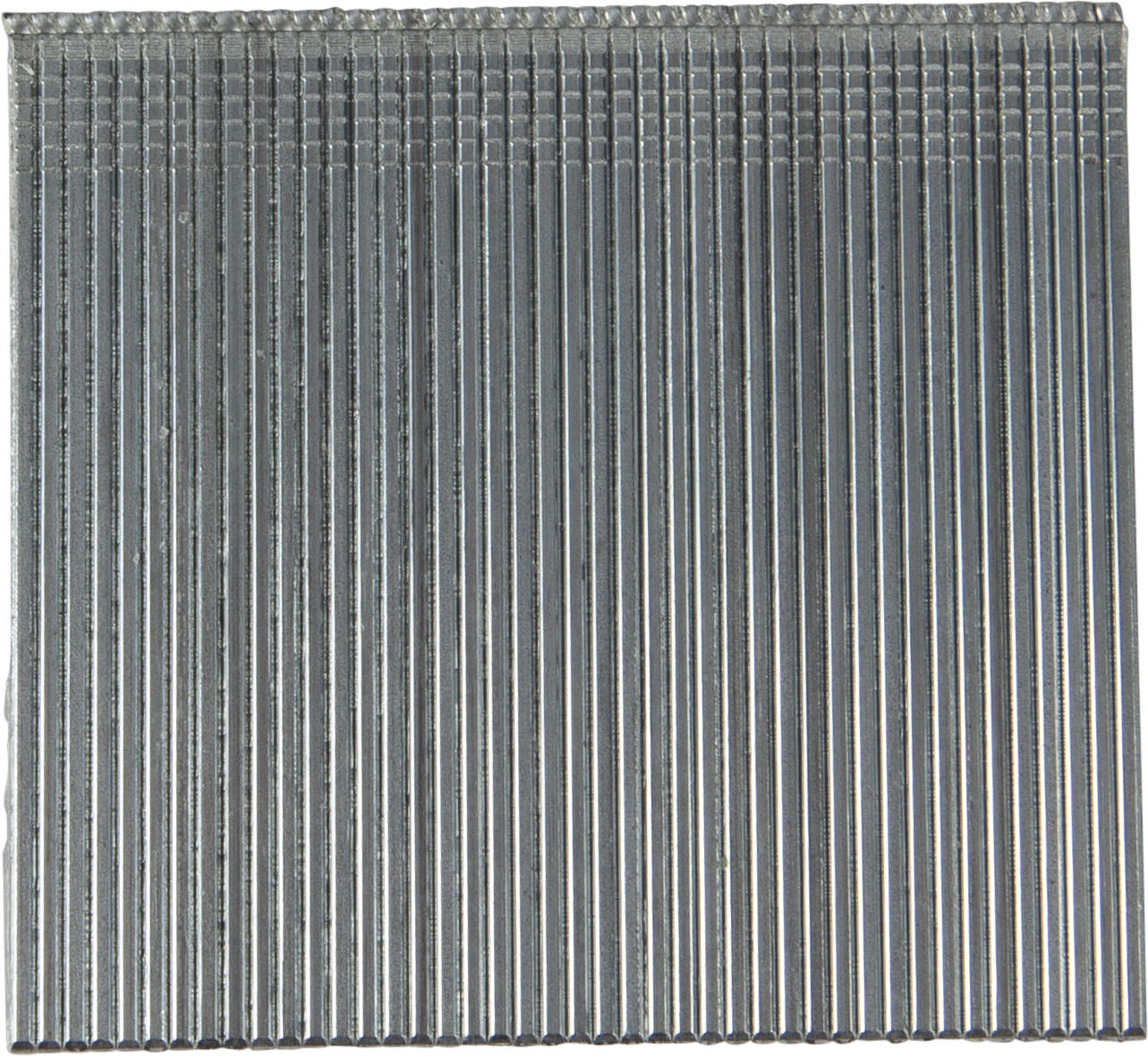 Ongle Essve F16; 1,6×63 mm; 0°; 1600 pcs .; galvanisé brillant