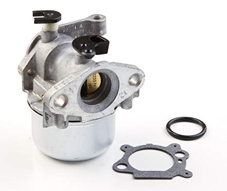 Carburateur Briggs&Stratton 799871
